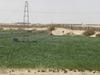  Pivot d’irrigation développé par les artisans dans le sud algérien - © Marcel Kuper, Cirad